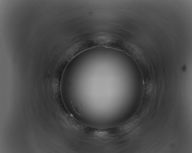 X0000093460283200710191130