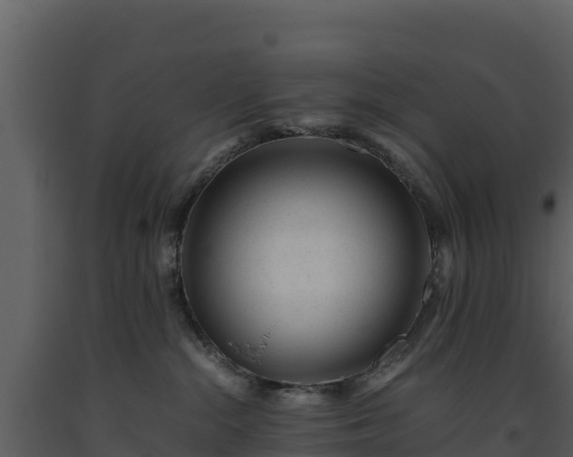 X0000093460284200710191130