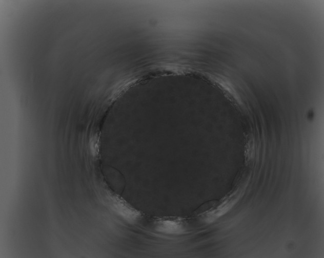 X0000093460285200710191130