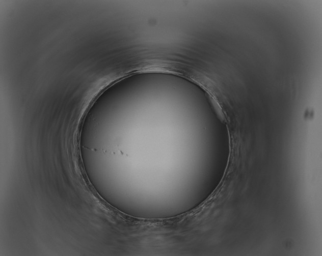 X0000093460289200710191130