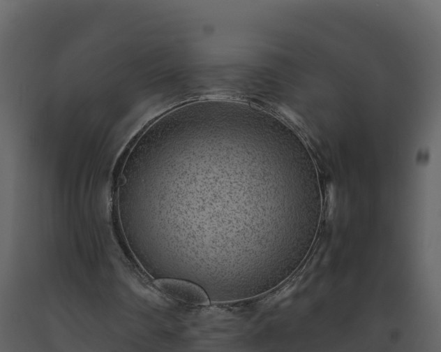 X0000093460290200710191130