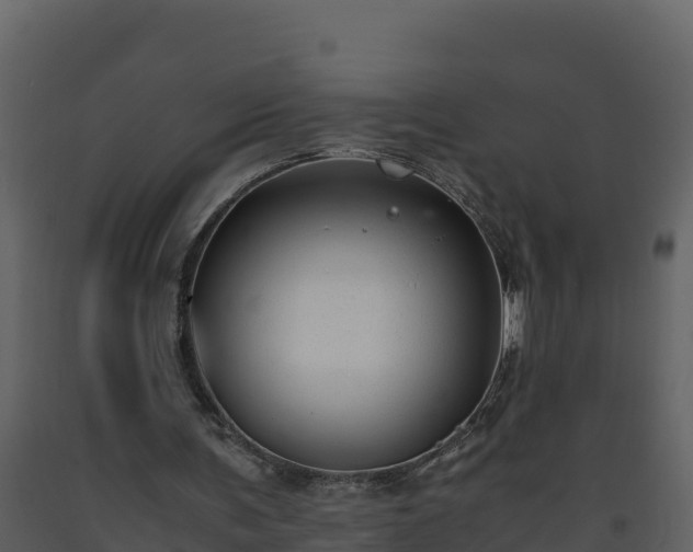 X0000093460291200710191130