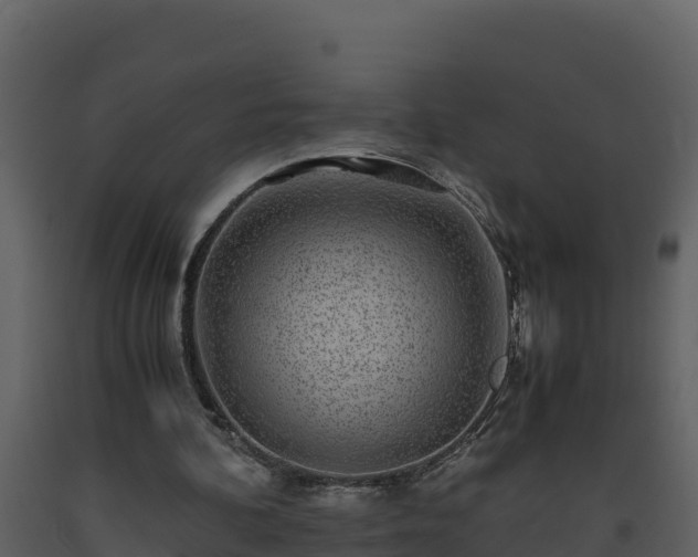 X0000093460292200710191130