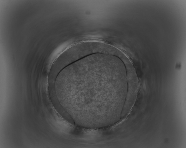 X0000093460293200710191130