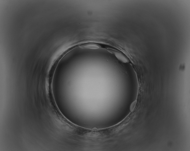 X0000093460294200710191130