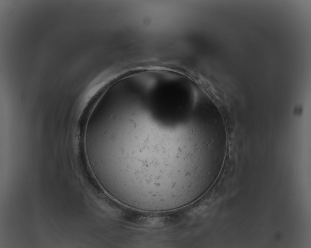 X0000093460295200710191130