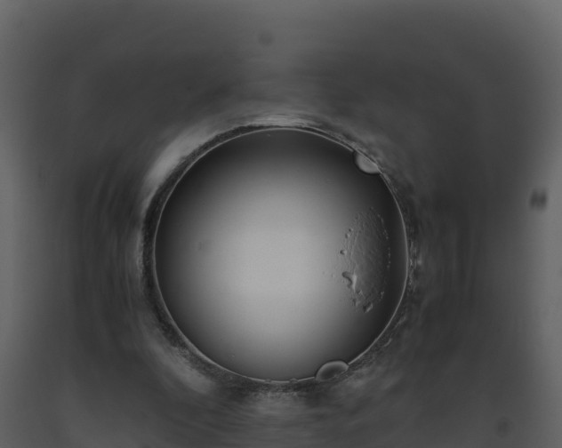 X0000093460296200710191130