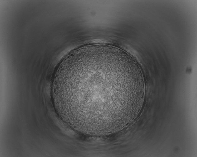 X0000093460297200710191130