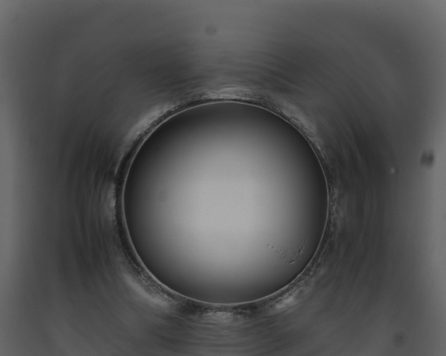 X0000093460298200710191130