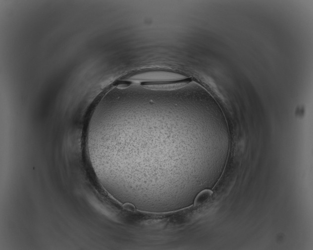 X0000093460299200710191130