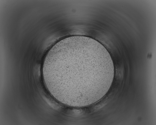 X0000093460302200710191129