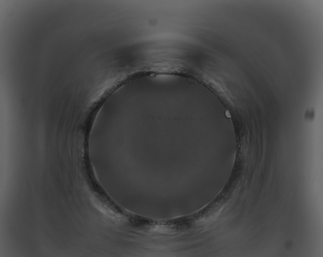 X0000093460303200710191129