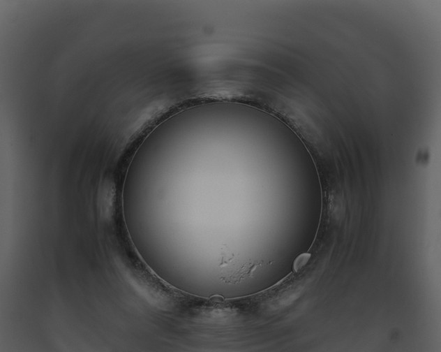 X0000093460304200710191129