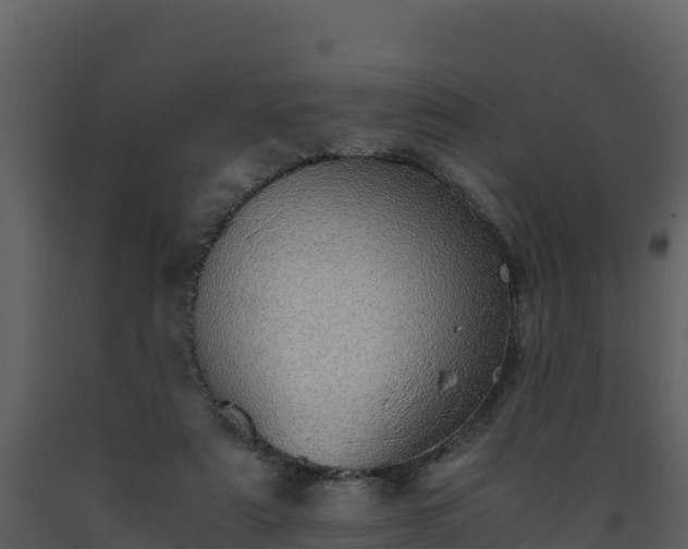 X0000093460307200710191129