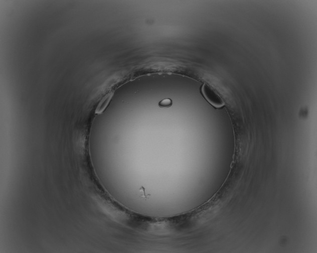 X0000093460309200710191129