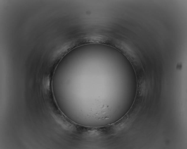 X0000093460310200710191129