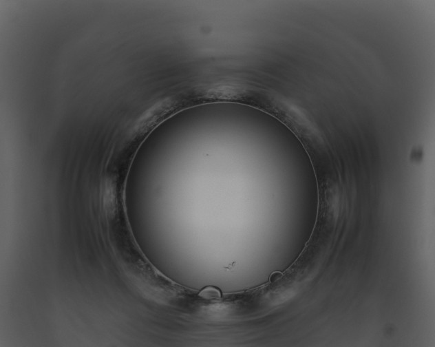 X0000093460312200710191129