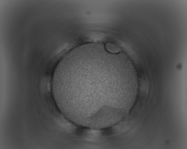 X0000093460313200710191129