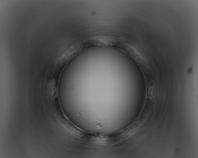 X0000093460318200710191129