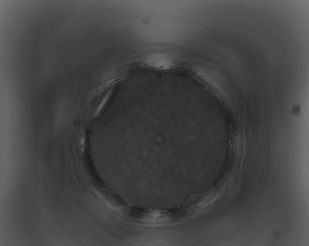 X0000093460319200710191129