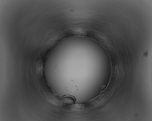 X0000093460320200710191129