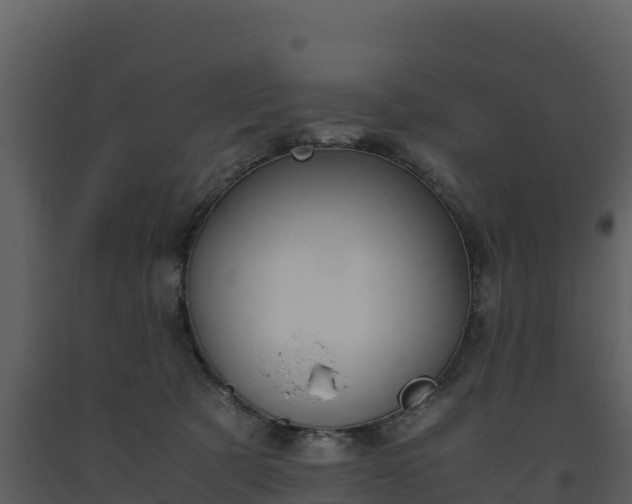 X0000093460321200710191129