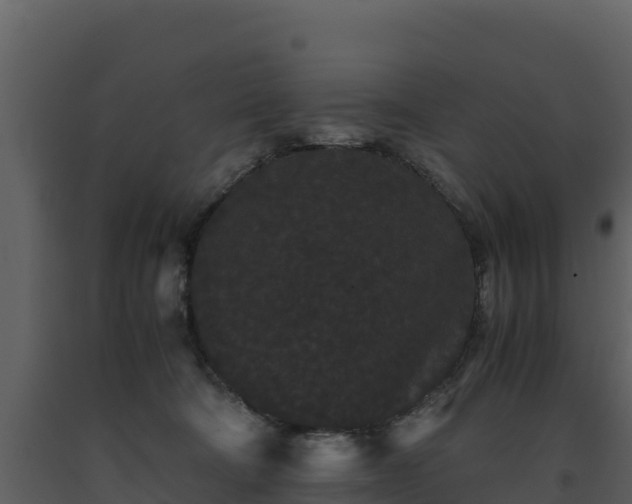 X0000093460322200710191129