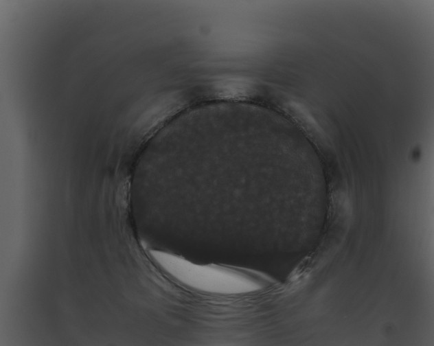 X0000093460325200710191129