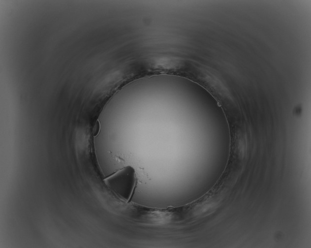 X0000093460328200710191129