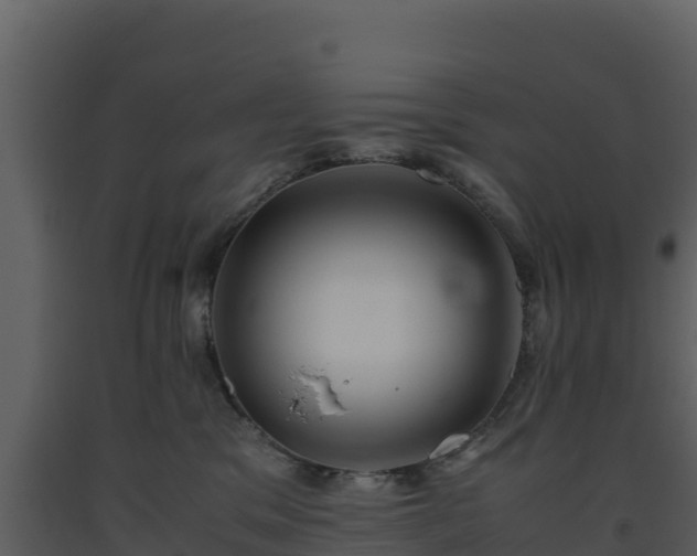 X0000093460329200710191129