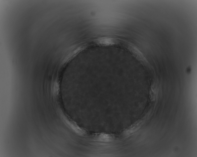 X0000093460330200710191129