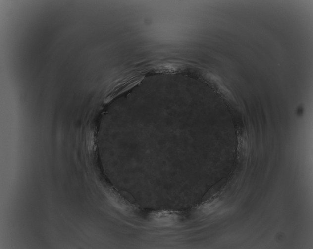 X0000093460331200710191129