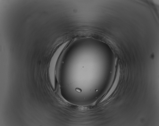 X0000093460333200710191129