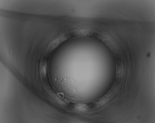 X0000093460334200710191129