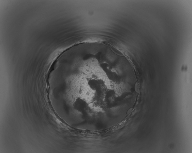 X0000093460337200710191128