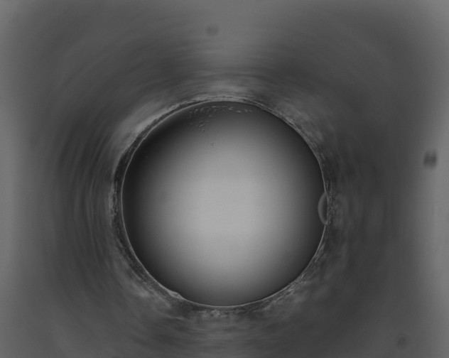 X0000093460338200710191128