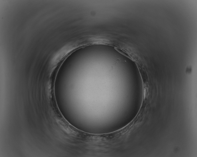 X0000093460339200710191128