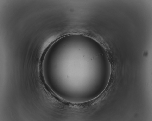 X0000093460340200710191128