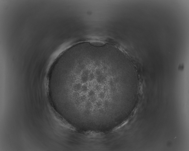 X0000093460343200710191129