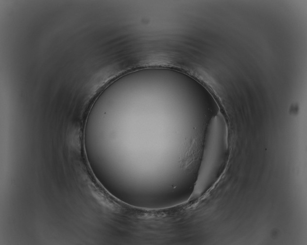 X0000093460345200710191129