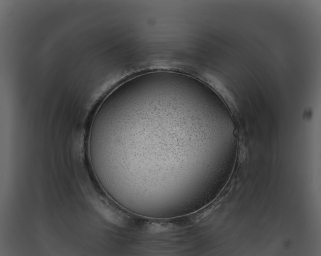 X0000093460346200710191129