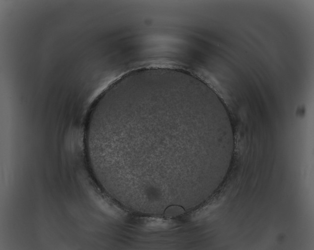 X0000093460347200710191129