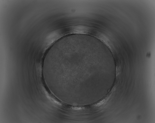 X0000093460349200710191129