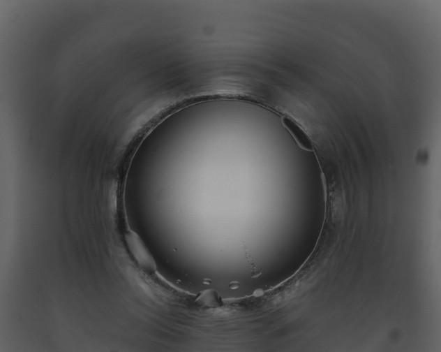 X0000093460350200710191129