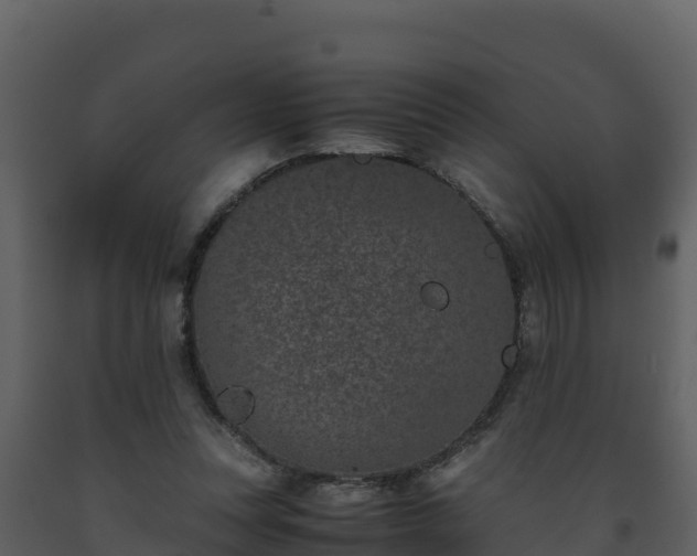 X0000093460351200710191129