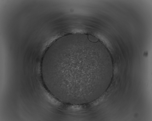 X0000093460353200710191129