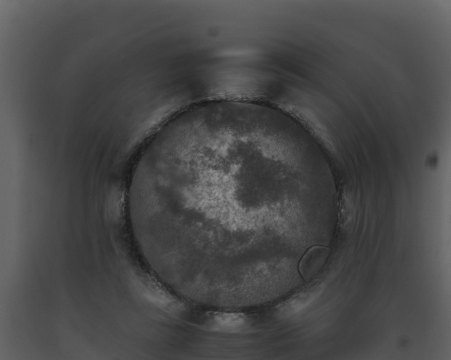 X0000093460355200710191129