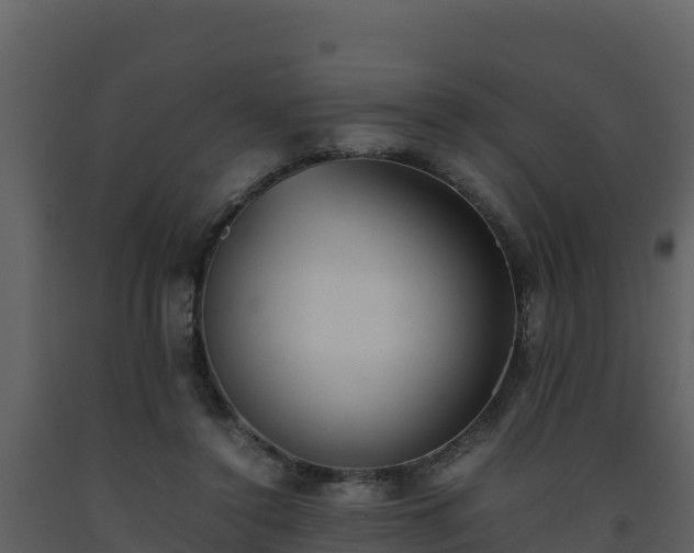 X0000093460356200710191129