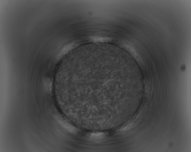 X0000093460357200710191129