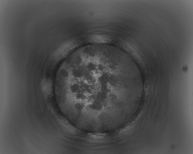 X0000093460359200710191129